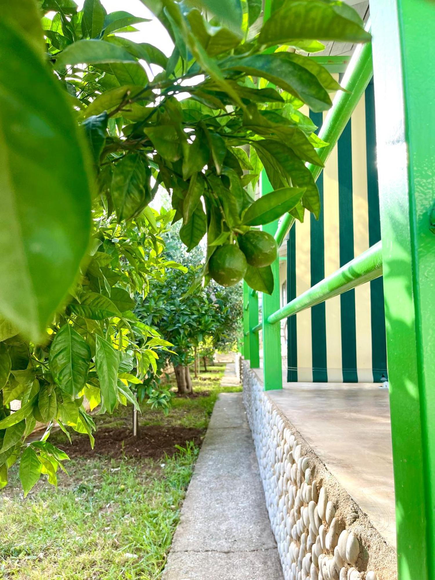 Chalet Ambel เดอร์มี ภายนอก รูปภาพ